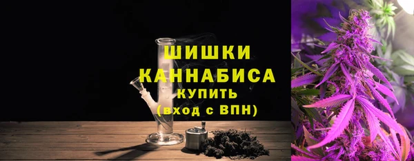 PSILOCYBIN Гусев