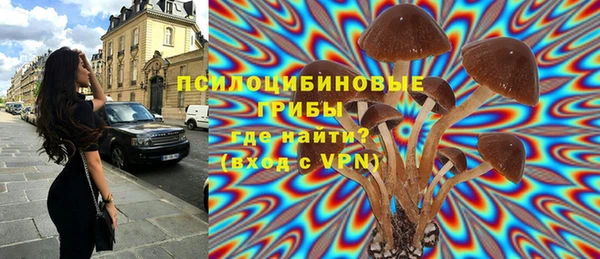 спиды Дмитровск