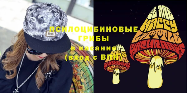 крисы Гусь-Хрустальный
