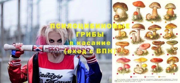 PSILOCYBIN Гусев