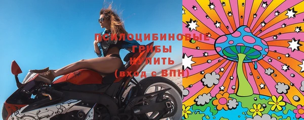 крисы Гусь-Хрустальный
