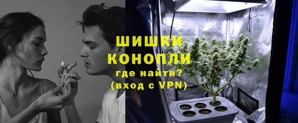 PSILOCYBIN Гусев