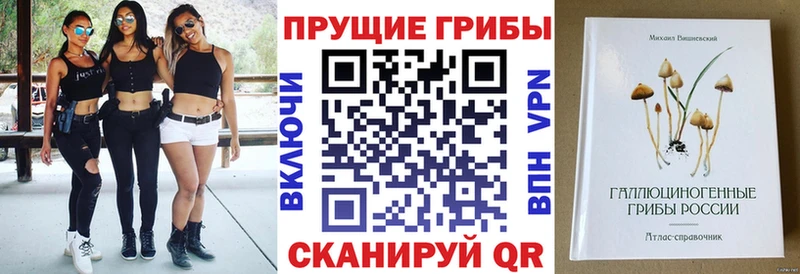 Галлюциногенные грибы ЛСД  гидра как зайти  Чердынь  где найти наркотики 